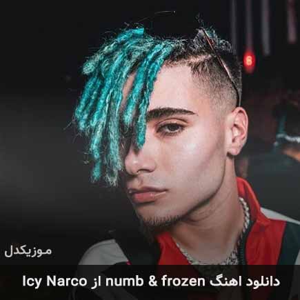 دانلود Icy Narco Numb and Frozen
